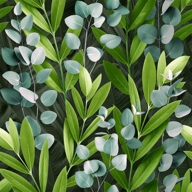 Джунгли 140419 Обои